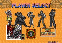 Gaia Crusaders sur Arcade
